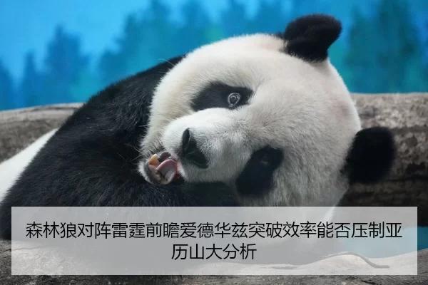 森林狼对阵雷霆前瞻爱德华兹突破效率能否压制亚历山大分析