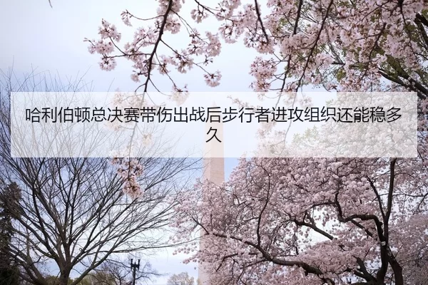 哈利伯顿总决赛带伤出战后步行者进攻组织还能稳多久