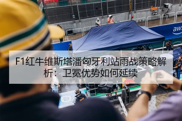F1红牛维斯塔潘匈牙利站雨战策略解析：卫冕优势如何延续