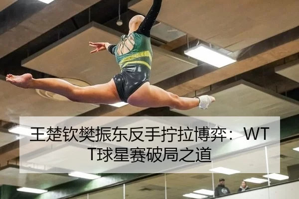 王楚钦樊振东反手拧拉博弈：WTT球星赛破局之道