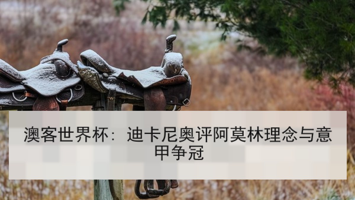 澳客世界杯: 迪卡尼奥评阿莫林理念与意甲争冠 澳客世界杯: 迪卡尼奥评阿莫林理念与意甲争冠