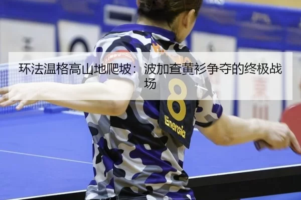 huan-fa-wen-ge-gao-shan-di-pa-po-bo-jia-cha-huang-shan-zheng-duo-de-zhong-ji-zhan-chang-2-326.jpg